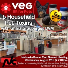 Pet Toxins Presentation